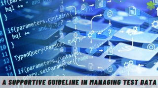 A Supportive Guideline In Managing Test Data