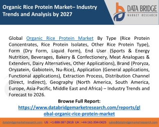 Organic Rice Protein Market Size, Reports, Demands, Share - Forecast 2026