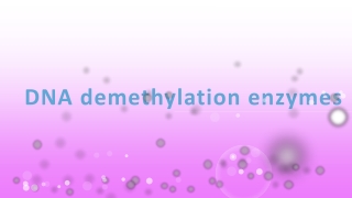 DNA demethylation enzymes