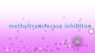 methyltransferase inhibitor