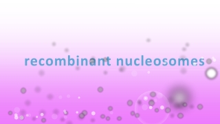 recombinant nucleosomes