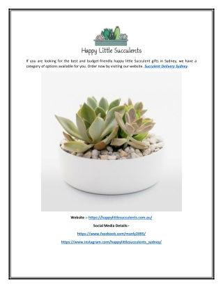 Succulent Delivery Sydney | Happylittlesucculents.com.au