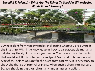 Benedict T. Palen, Jr - What Are The Things To Consider When Buying Plants From A Nursery?