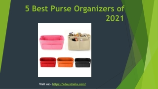 5 Best Purse Organizers of 2021