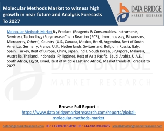 Molecular Methods Market to witness high growth in near future and Analysis Forecasts To 2027
