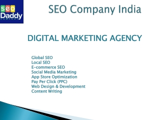 Seo Companies India