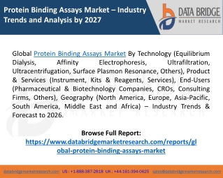 Protein Binding Assays Market Segmentation, Size, Analysis, Key Players and Forecast 2026