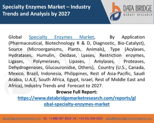 Specialty Enzymes Market Share, Size, Research, CAGR, Growth - Forecast 2027