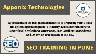 SEO TRAINING IN PUNE