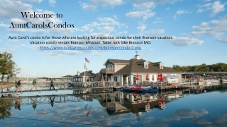 Branson mo vacation rentals by owner | Aunt carols condos