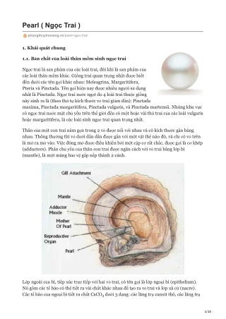 Pearl ( Ngọc Trai )