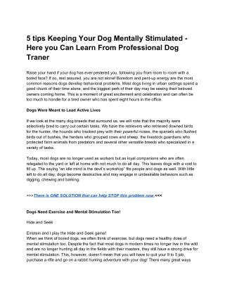 There is ONE SOLUTION that can help STOP any Dog problem now, No matter what your dog’s problem behavior is