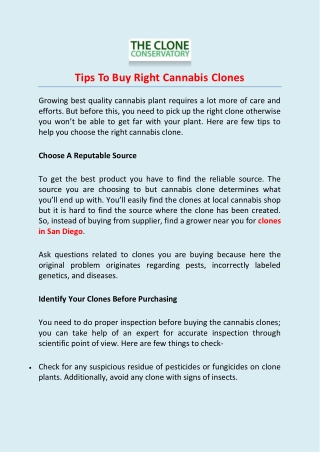 Tips To Buy Right Cannabis Clones