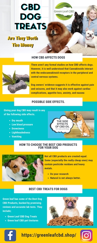 CBD Dog Treats: Are They Worth The Money