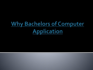 why bachelors in computer application