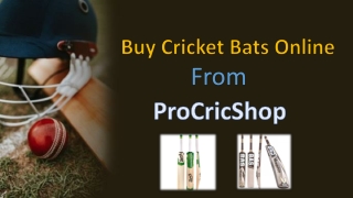 Buy Cheap Cricket Bats Online