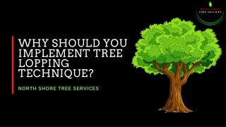 Why Should You Implement Tree Lopping Technique?