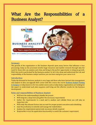 What Are the Responsibilities of a Business Analyst? | CROMA CAMPUS