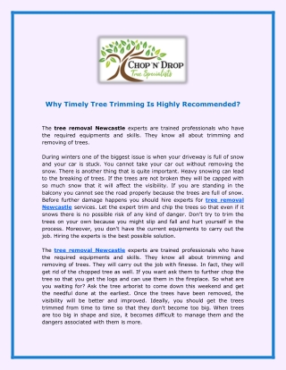 Why Timely Tree Trimming Is Highly Recommended?