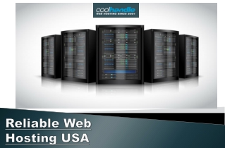 Reliable Web Hosting USA