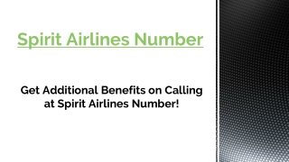 Spirit Airlines Number