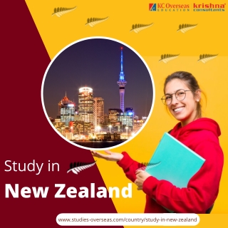 Why should you Study in New Zealand?