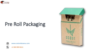 Pre roll packaging box with Printed logo & Design
