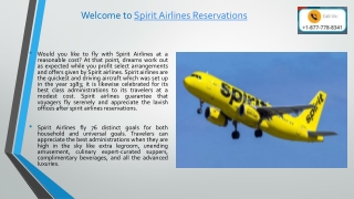 last-minute Spirit airlines tickets