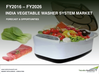 India Vegetable Washer System Market Size, Share & Forecast 2025