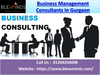 Business Management Consultants in Gurgaon