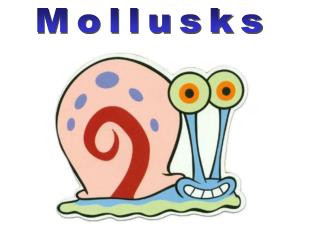 Mollusks