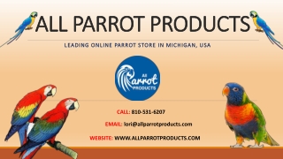 ALL PARROT PRODUCTS - Leading Parrot Food Supplier in USA