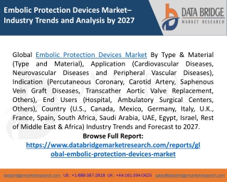 Embolic Protection Devices Market Segmentation, Size, Analysis, Key Players and Forecast 2027