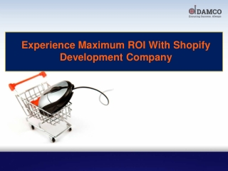 Experience Maximum ROI With Shopify Development Company