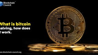 What Is Bitcoin Halving? How Does It Work?