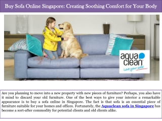 Buy Sofa Online Singapore Creating Soothing Comfort for Your Body