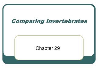 Comparing Invertebrates