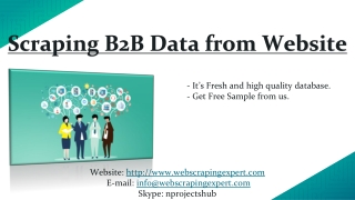 Scraping B2B Data from Website