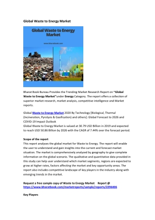 Global Waste to Energy Market