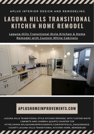 Laguna Hills Transitional Kitchen home Remodel
