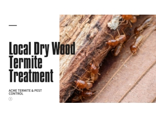 Local Dry Wood Termite Treatment in Bradenton
