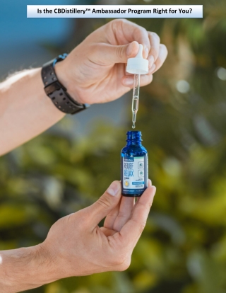 Is the CBDistillery™ Ambassador Program Right for You?