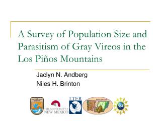 A Survey of Population Size and Parasitism of Gray Vireos in the Los Piños Mountains