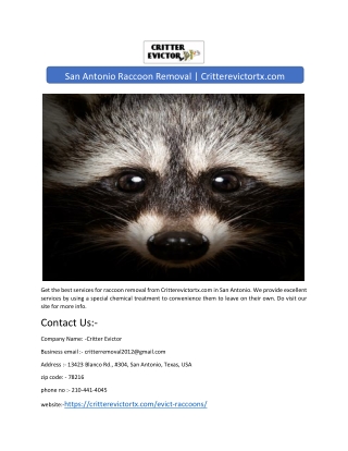 San Antonio Raccoon Removal | Critterevictortx.com