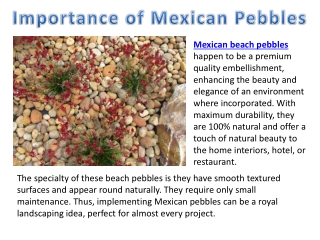 Importance of Mexican Pebbles