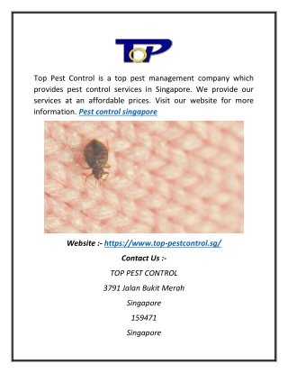 Pest Control Services in Singapore