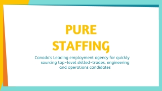 Pure Staffing Solutions | Leading Employment Agency in Canada