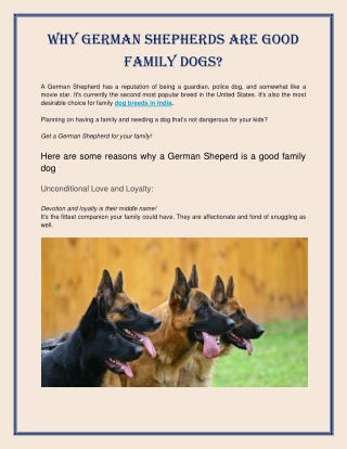 Why German Shepherds are Good Family Dogs?