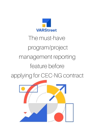 The must-have program/project management reporting feature before applying for CEC-NG contract