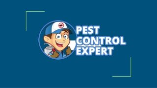 Reliable Pest Management Services - Pest Control Expert